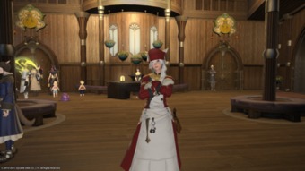 ff14好看的衣服搭配猫女