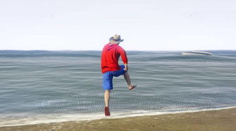 gta5海贼王衣服搭配