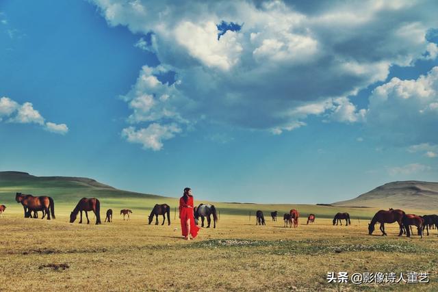 去草原拍环境人像，穿什么颜色的服装拍照好看？