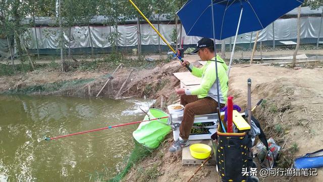 饵料味型怎么搭配不冲突？